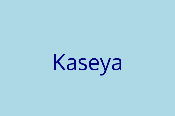 Software Solutions Provider Kaseya