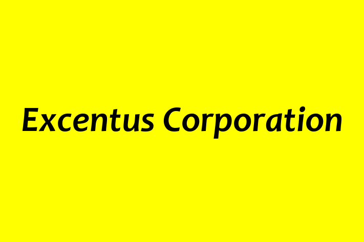 Application Development Company Excentus Corporation