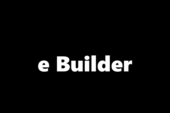 Software Solutions Provider e Builder