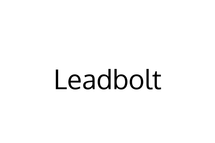 Software Engineering Company Leadbolt