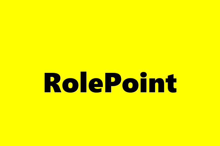 Tech Solutions Company RolePoint