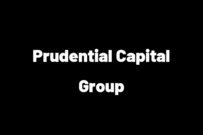 Software Development Company Prudential Capital Group