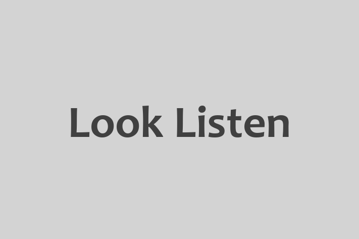 Software Services Company Look Listen