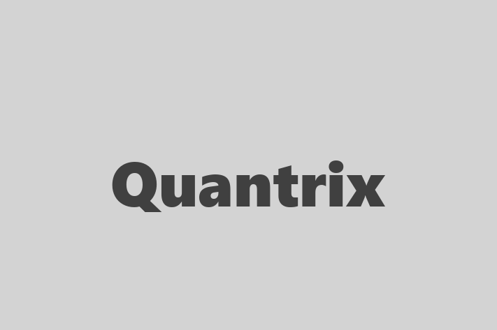 IT Company Quantrix