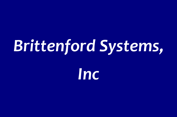 Digital Solutions Provider Brittenford Systems Inc