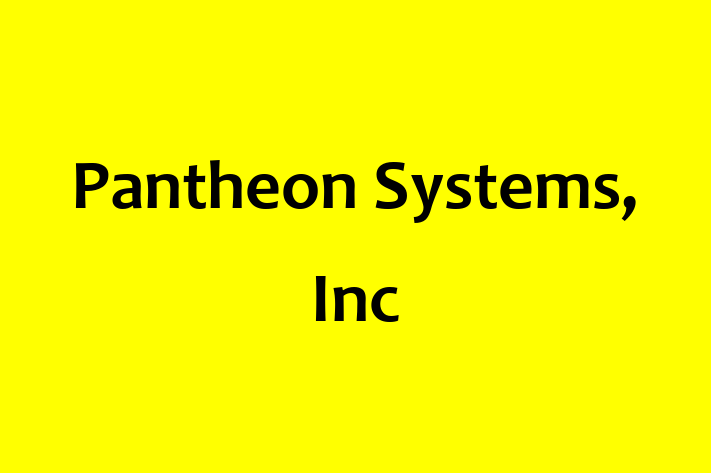 Software Services Company Pantheon Systems Inc