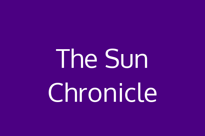 Tech Firm The Sun Chronicle