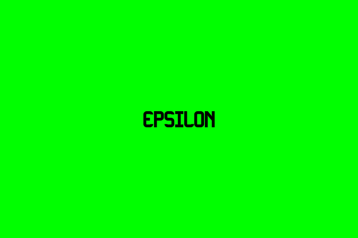 Technology Solutions Firm Epsilon