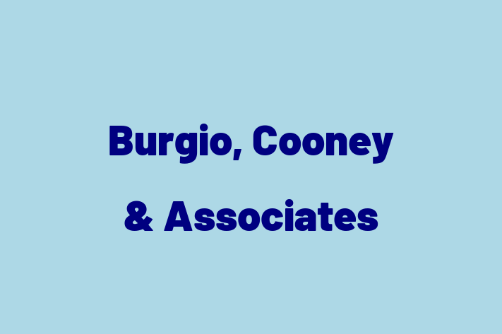 Application Development Company Burgio Cooney  Associates