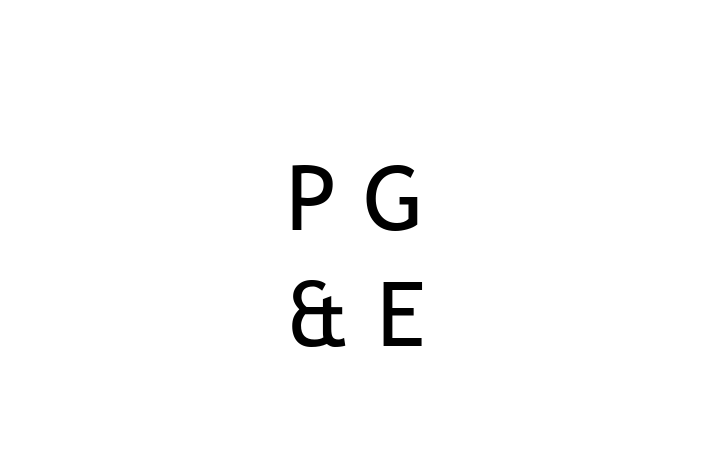 Electrical technicians P G E