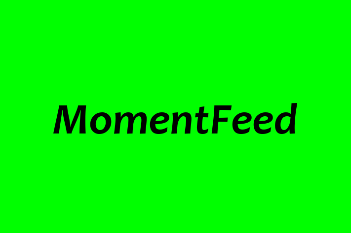 IT Company MomentFeed