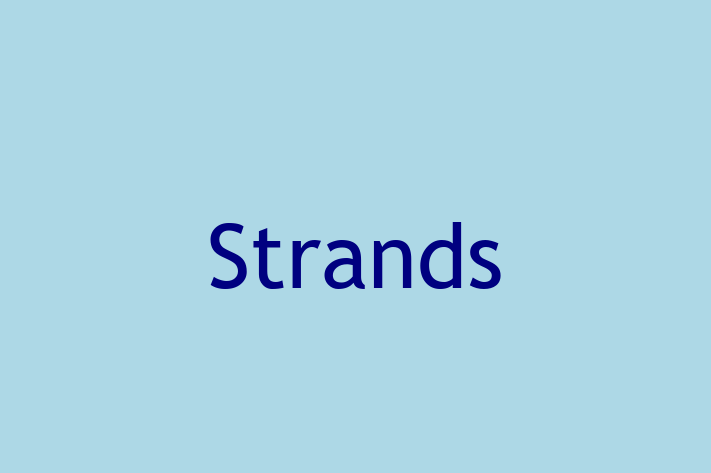 Software Firm Strands