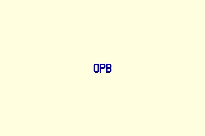 Application Development Company OPB