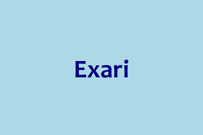 Software Solutions Provider Exari