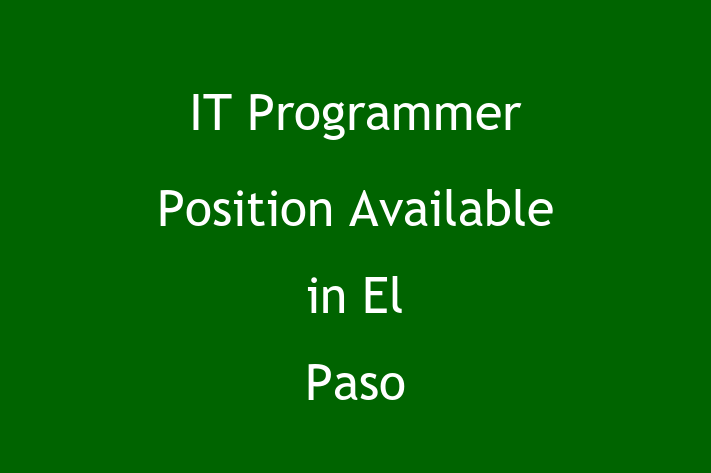 IT Programmer Position Available in El Paso