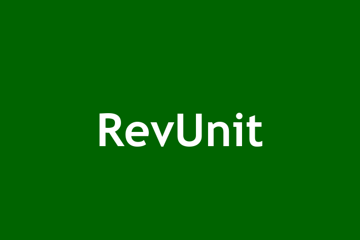 IT Company RevUnit