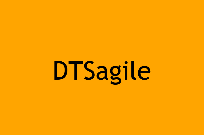 Technology Solutions Firm DTSagile