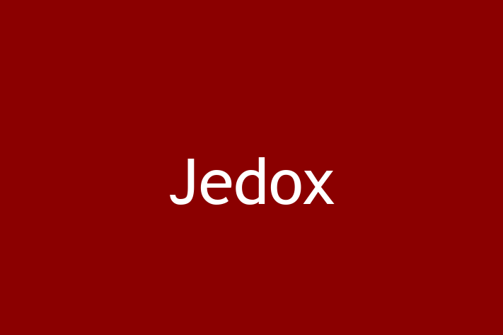 Software Consultancy Jedox