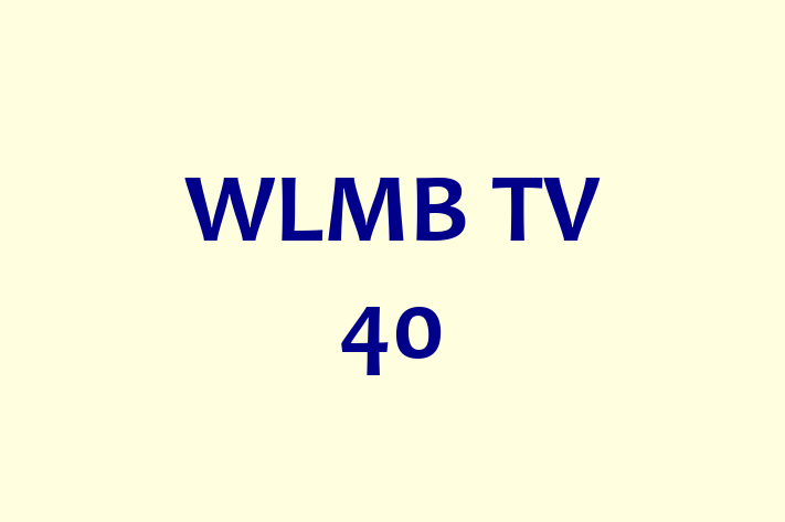 Tech Firm WLMB TV 40