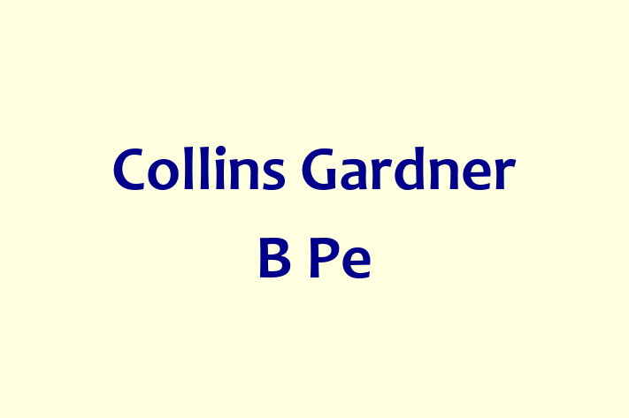 Construction firm Collins Gardner B Pe