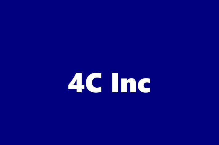 Digital Solutions Provider 4C Inc