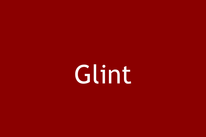 Software Development Company Glint