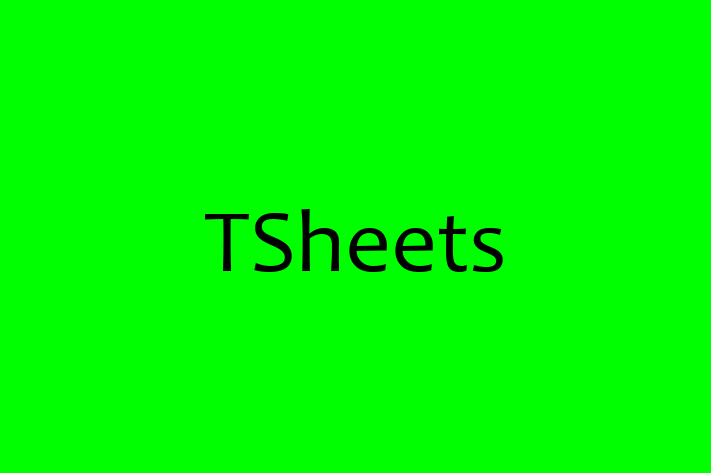 Software Consultancy TSheets