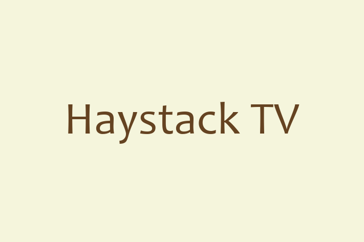 Software Engineering Company Haystack TV