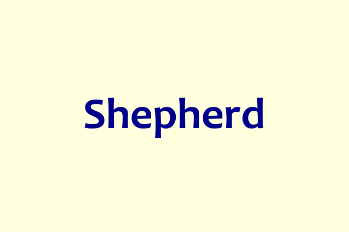 Software Solutions Provider Shepherd