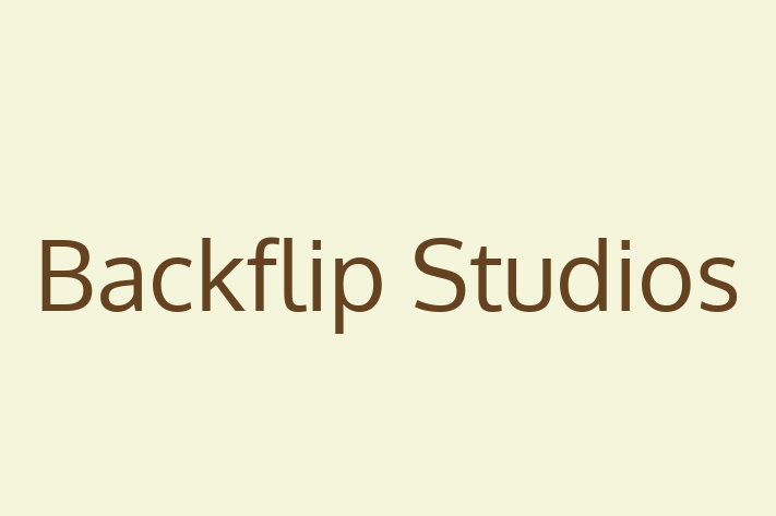 Software Solutions Provider Backflip Studios