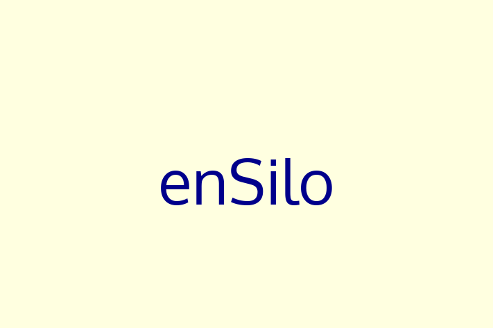 Application Development Company enSilo