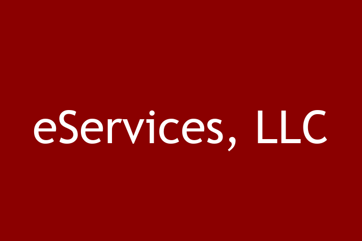 IT Company eServices LLC