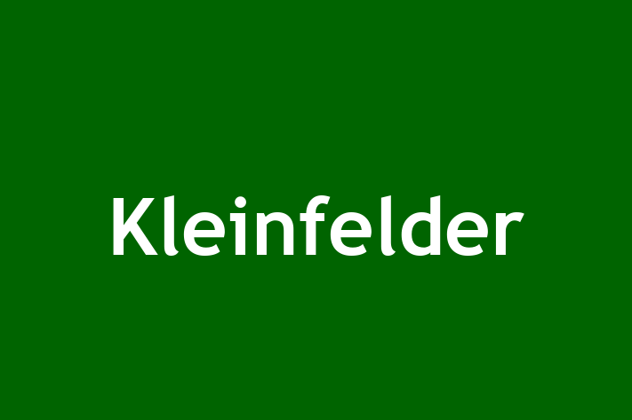 Employee Relations Kleinfelder