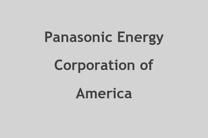 Human Resource Management Panasonic Energy Corporation of America