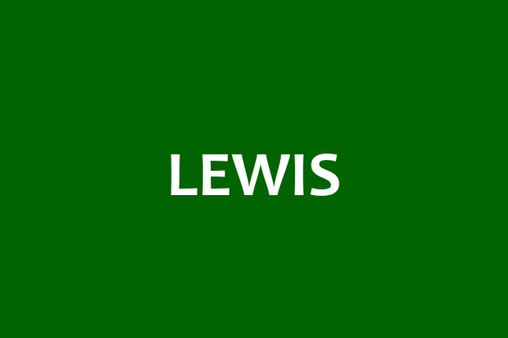 Software Solutions Provider LEWIS