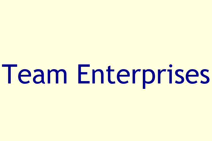 Software Services Company Team Enterprises