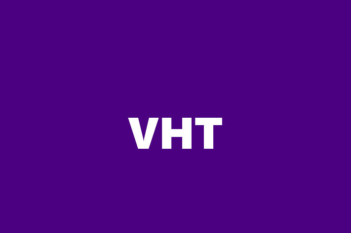 IT Company VHT