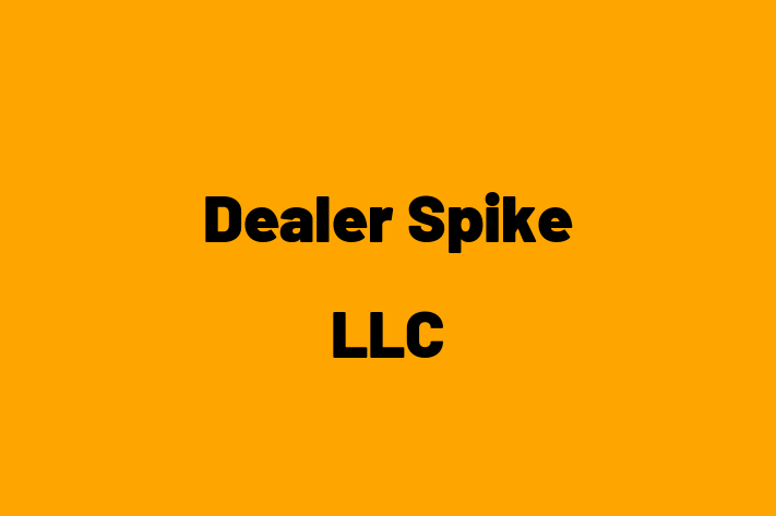 Software Consultancy Dealer Spike LLC