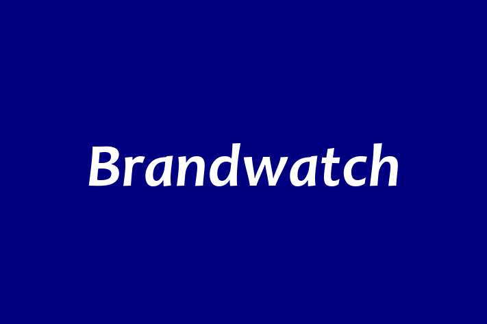 Digital Solutions Provider Brandwatch