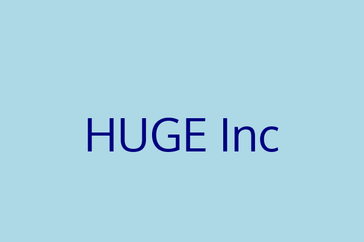 Software Consultancy HUGE Inc