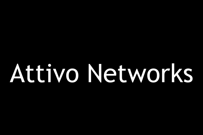 Digital Solutions Provider Attivo Networks