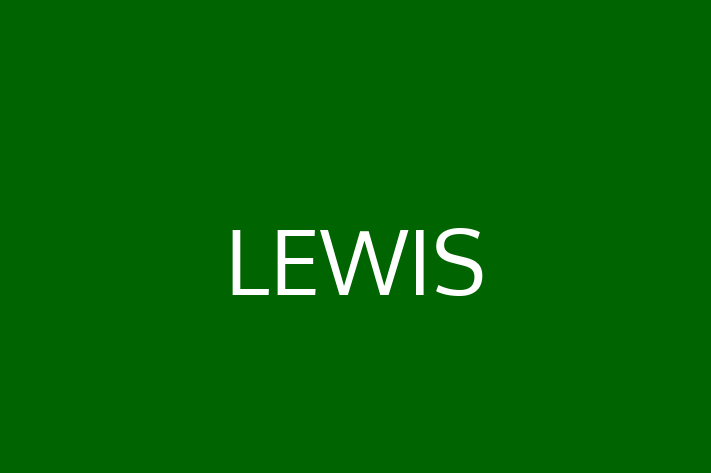 Software Services Company LEWIS