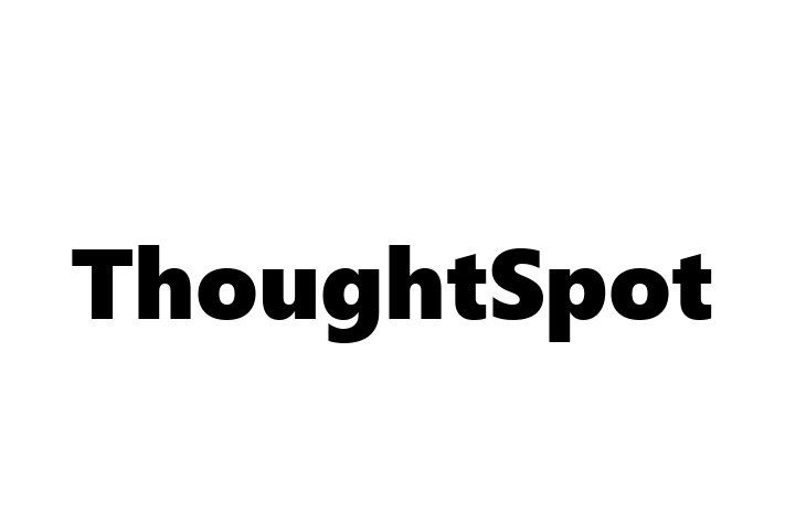 Digital Solutions Provider ThoughtSpot