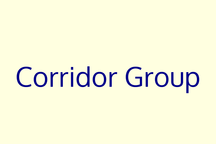 Software Engineering Company Corridor Group