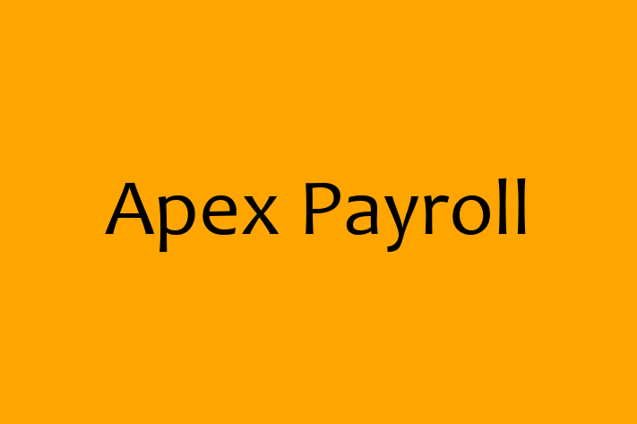 Technology Company Apex Payroll