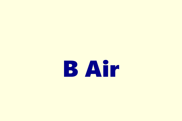 Software Development Firm B Air