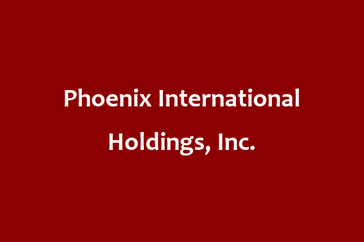 Software Firm Phoenix International Holdings Inc.