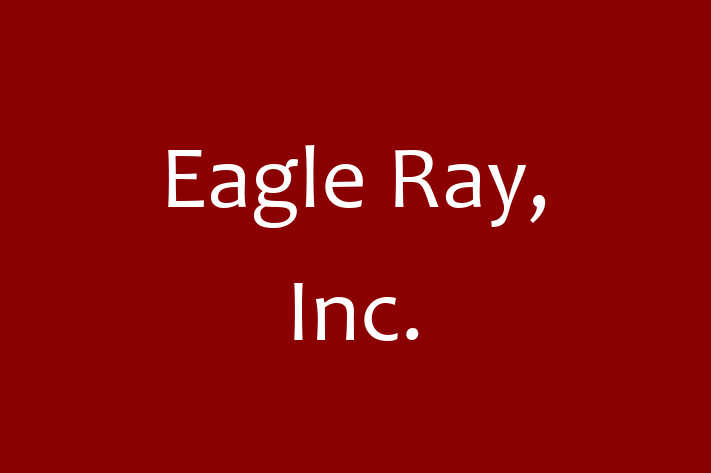 Application Development Company Eagle Ray Inc.