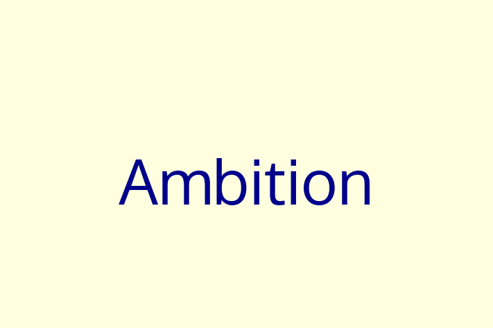 Software Consultancy Ambition