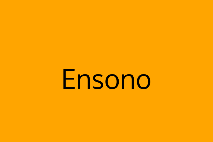 Digital Solutions Provider Ensono